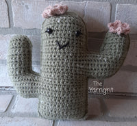 Stuffie - Cactus Cuddler